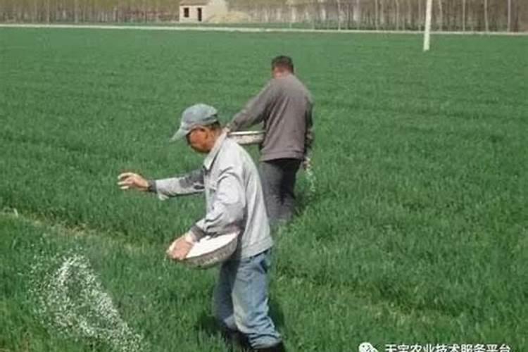 钾肥价格多少钱一吨 如何挑选优质的钾素肥料