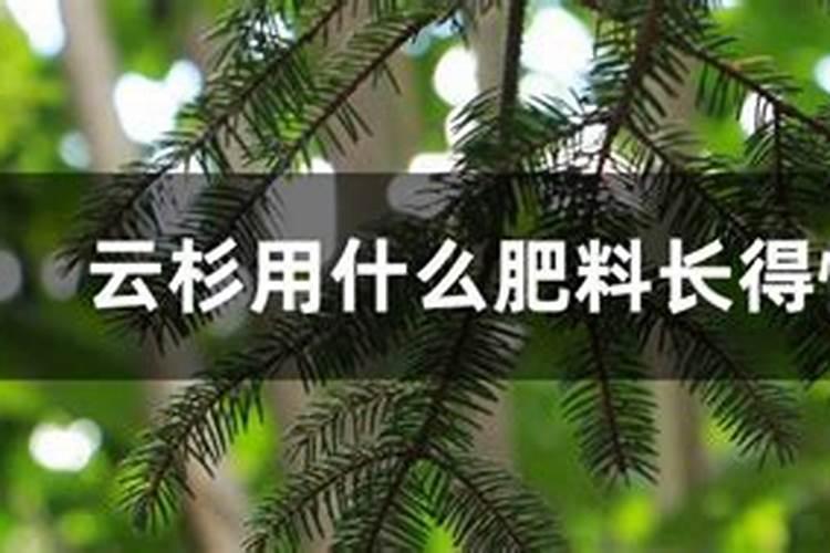 磷酸二氢钾怎么施肥效果好