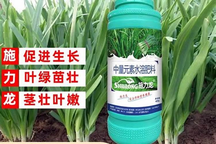 种韭菜用什么肥料最好