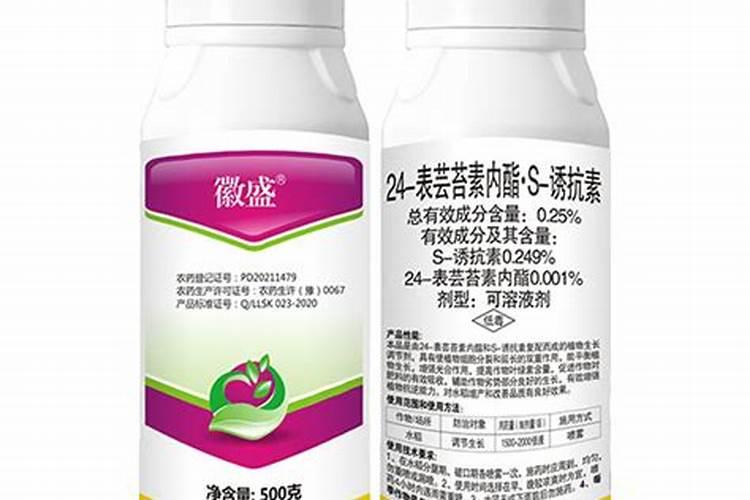 茶花换盆注意事项