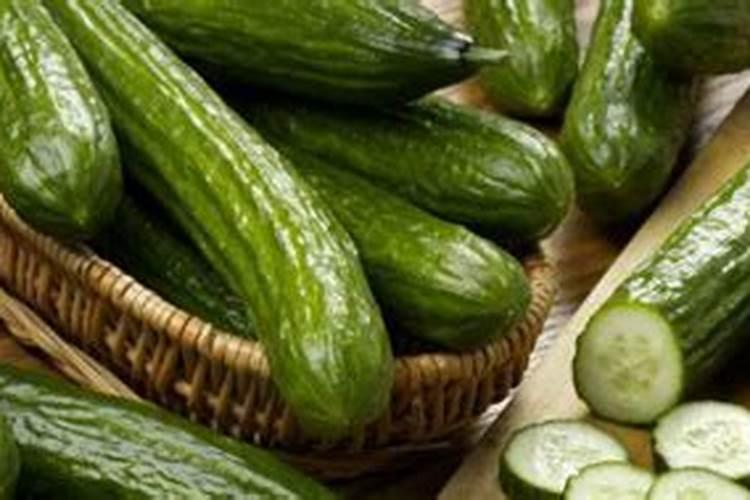 种菜用什么肥料最好