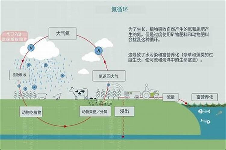 雨水骤降对旱地的土壤肥力有影响吗
