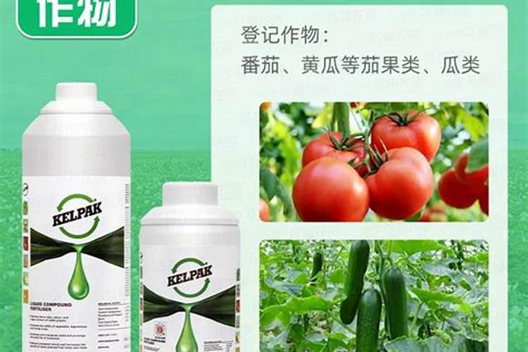 茄子苗用什么肥最好