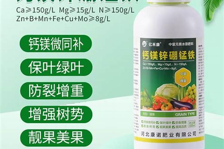 如何施用硼肥？