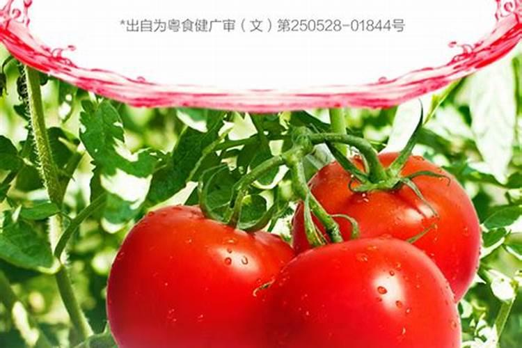 果树叶面肥喷施八注意 种果树需要注意什么