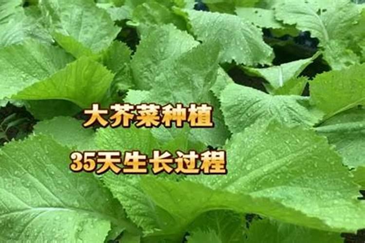 农业用肥料与水产专用肥的区别是什么？