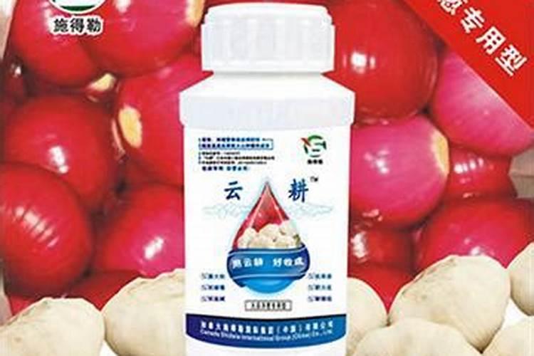 洋葱喜欢什么肥料