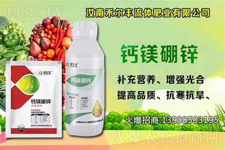 种柑橘用什么肥料最好