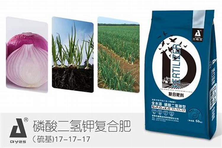 洋葱施什么肥最好