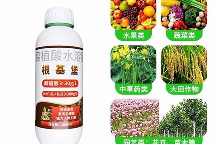 猕猴桃萌芽期能施水溶肥吗？