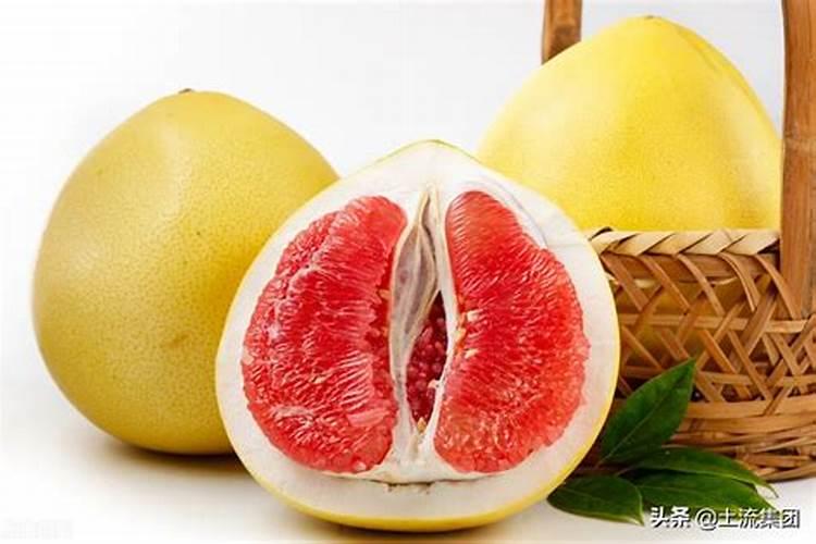 东北盆栽桃树怎么过冬？
