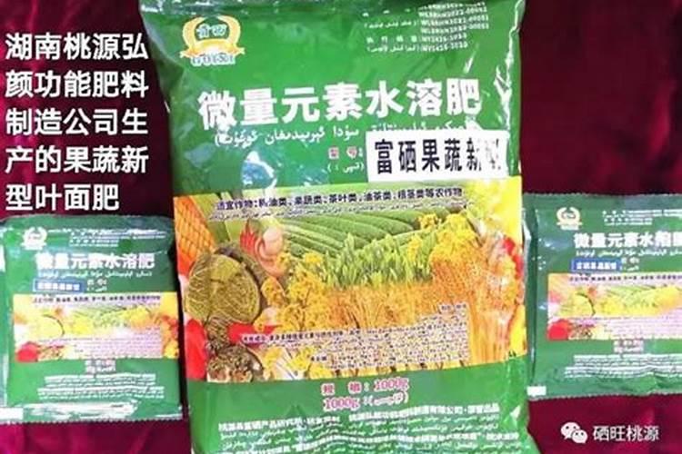 金花菜是什么？