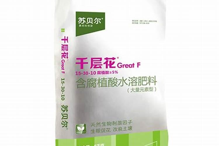 玫瑰怎么施肥,不同生长时期合理施肥花开满盆