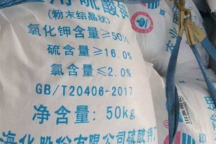 牡丹有花苞了怎么管理？