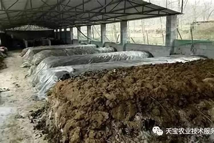 磷肥的沤制方法