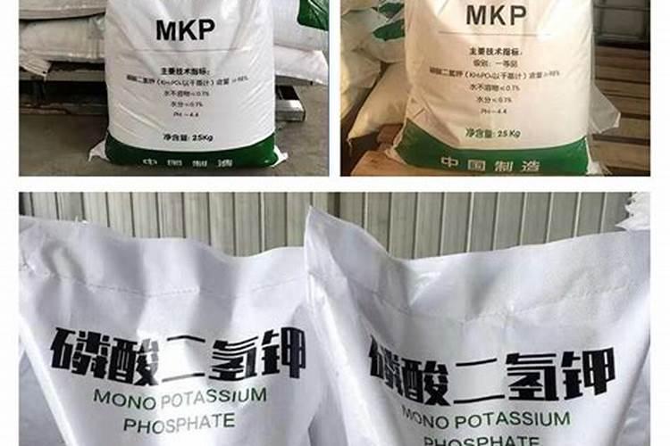 月季开花时能用尿素肥吗？