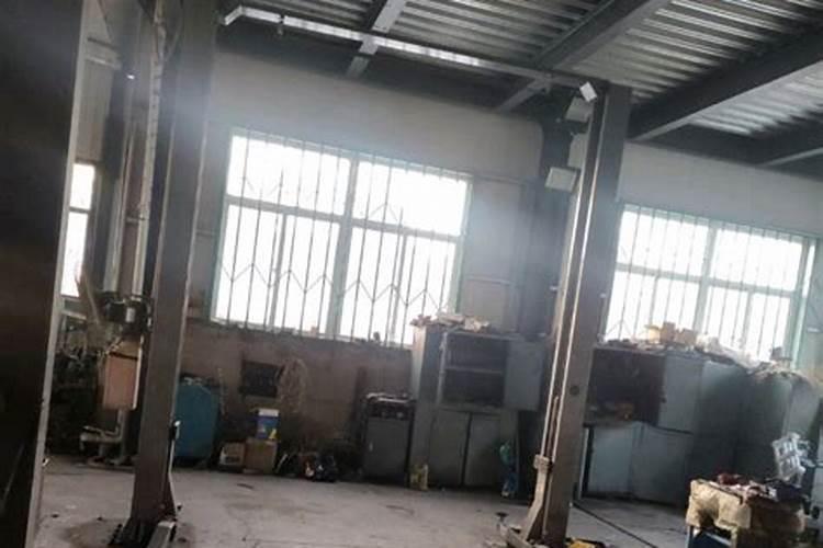 香菜什么时候播种最好