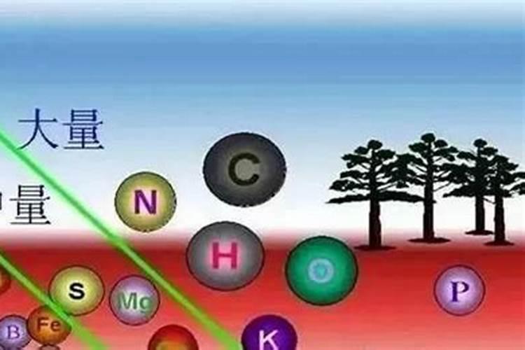 微量元素肥料有哪些