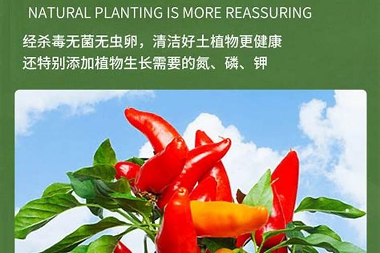 草木灰的主要成分