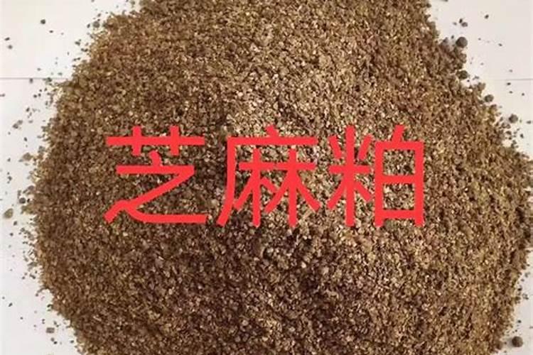 芝麻,小米,藜麦环境条件的要求