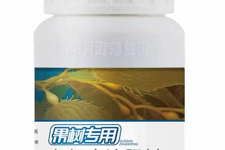 怎样提高果树定植成活率？