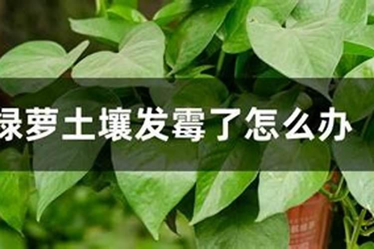 如何降低硅微粉粘度的方法
