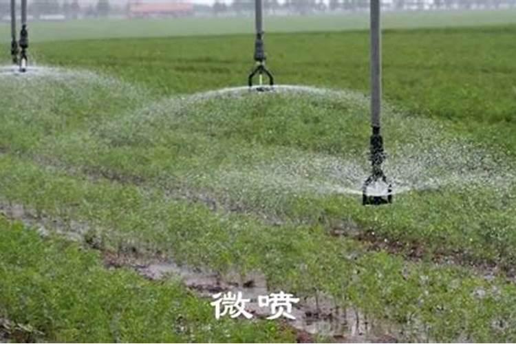 什么是根外追肥