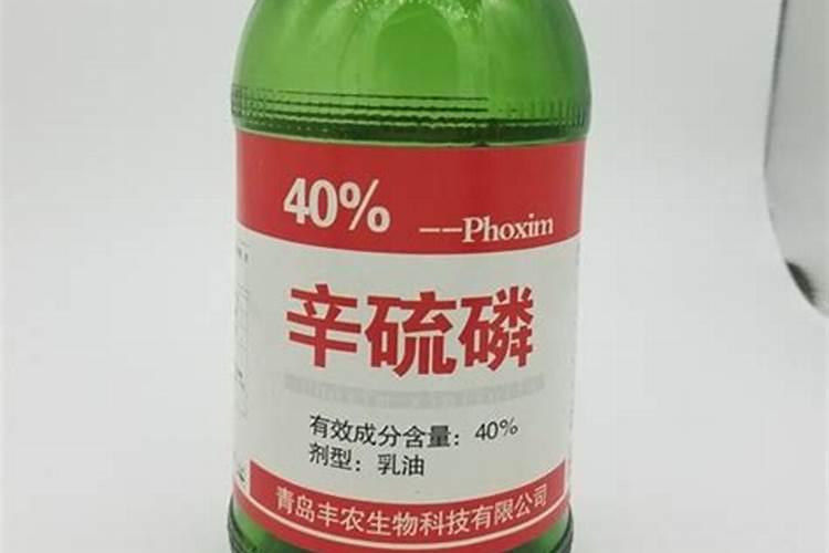 晒不到太阳能种什么菜,阳台上可以种什么菜