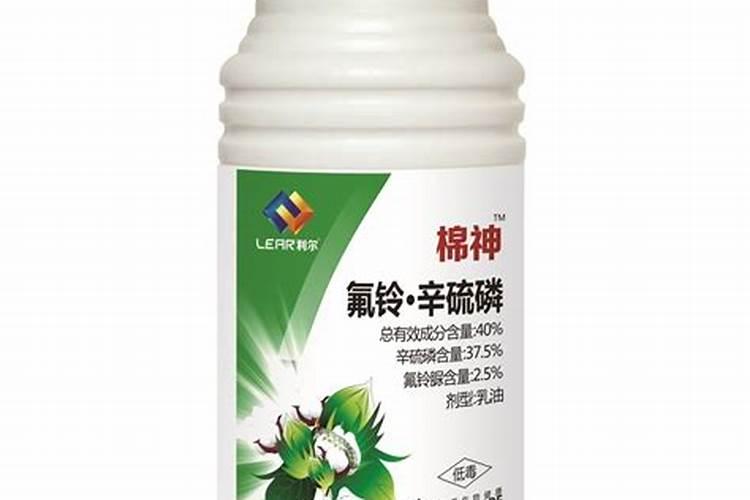 辣椒在生长期间需要注意哪些问题？怎样管理才能高产？