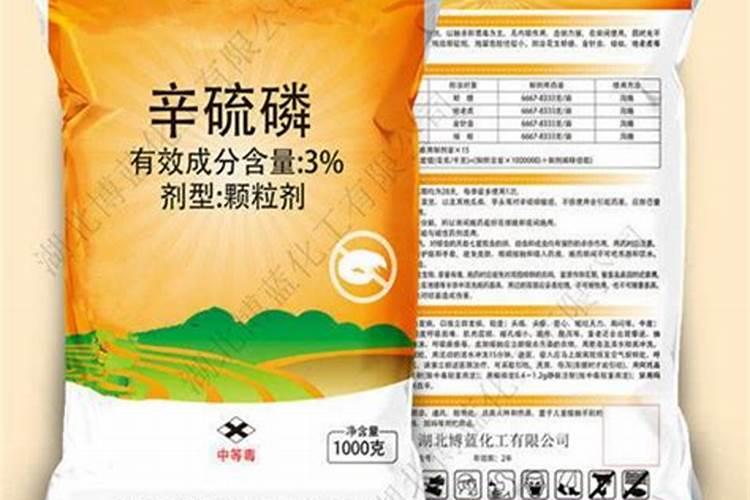 颗粒辛硫磷在西红市苗床上产生药害怎么办;西红市小苗不长根
