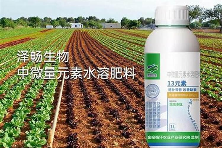 花草植物能不能天天浇尿