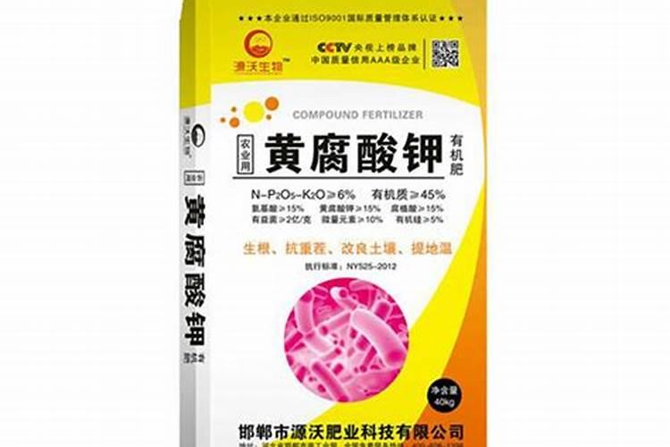 中药薄荷的功效与作用