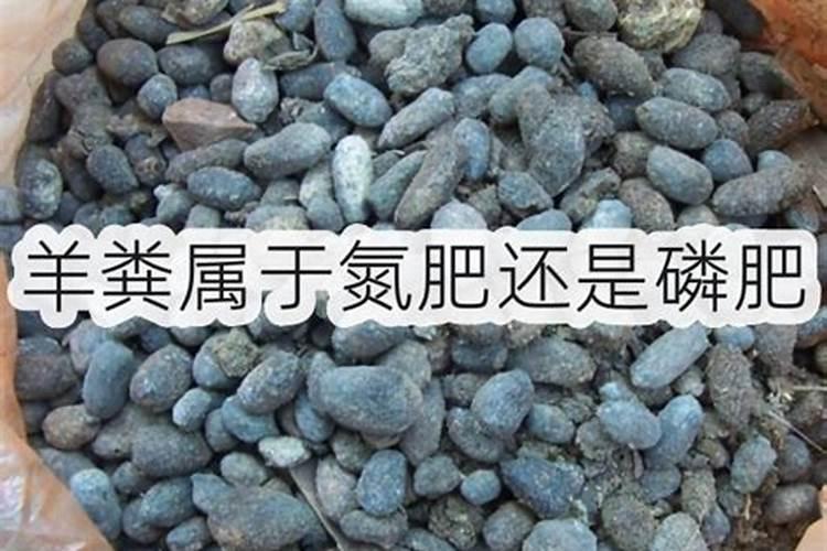 磷酸二氢钾怎么浇花