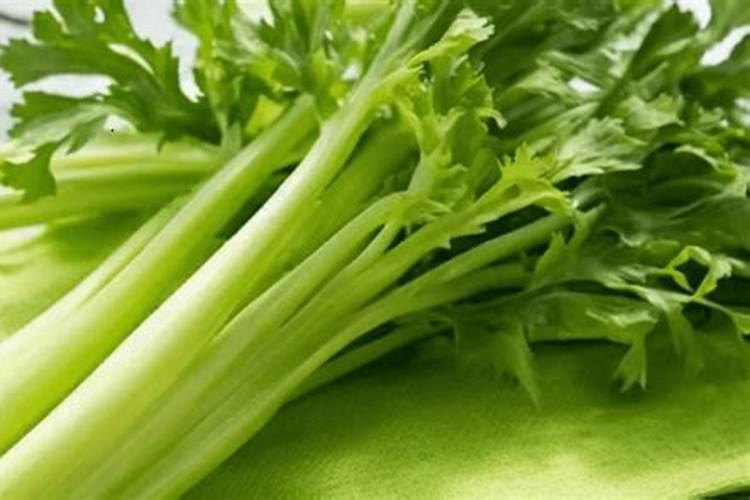 大棚芸豆苗期喷什么叶面肥什么药