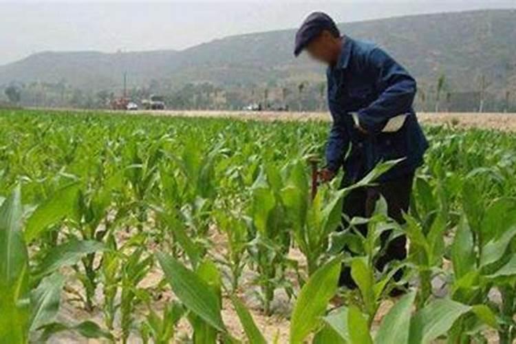 聚氨酯防水涂料一桶多少钱？在哪买？