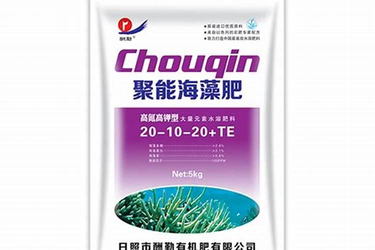 十大高蛋白食物排行榜