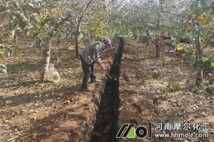 气温降低使用什么肥料能保持作物生长？