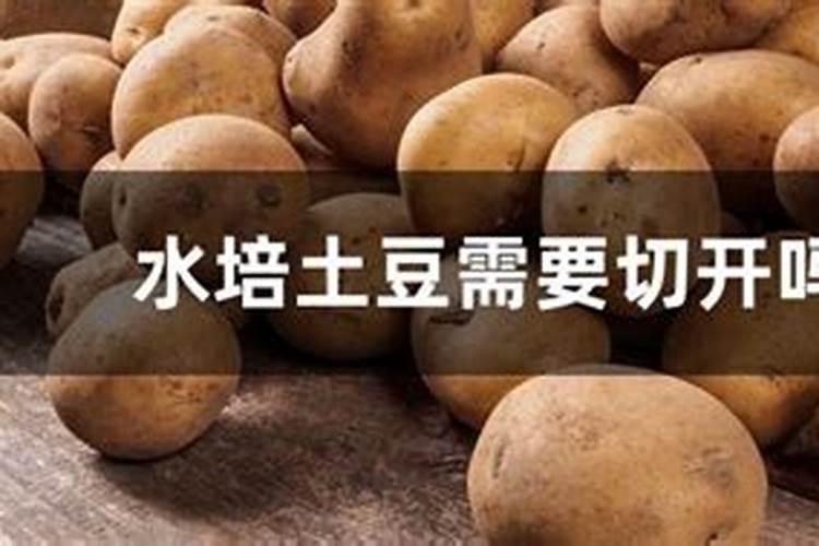 小麦尿素喷叶面肥的用量