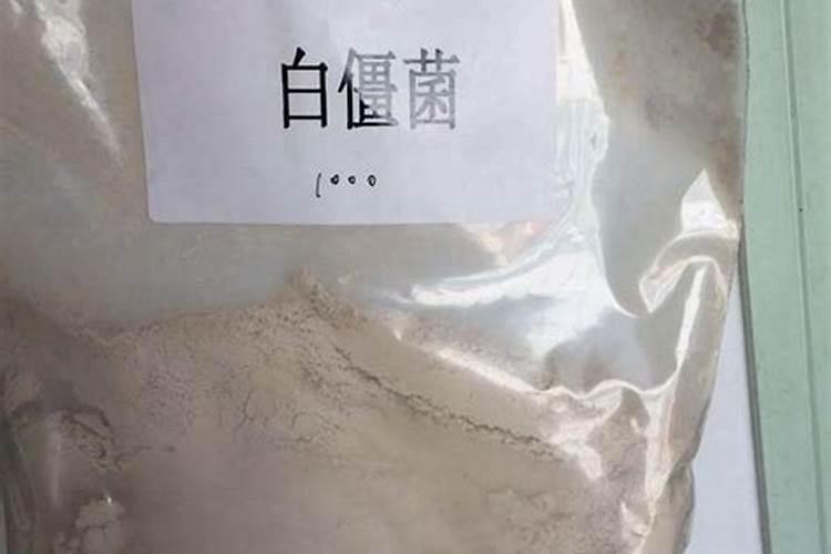 硼肥放槟榔树会死吗
