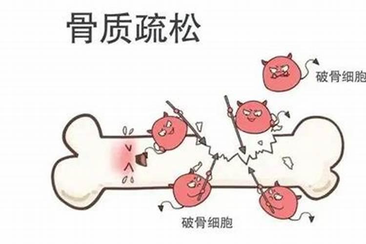 水溶肥知名品牌有哪些？
