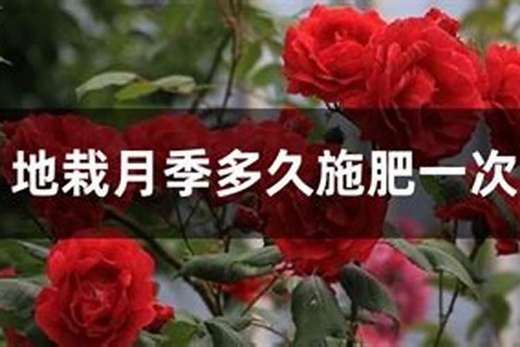 垃圾焚烧的烟气中为什么会有二恶英
