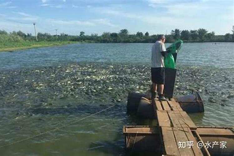 海水的重要元素有几种？