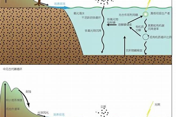 海水的重要元素有几种？