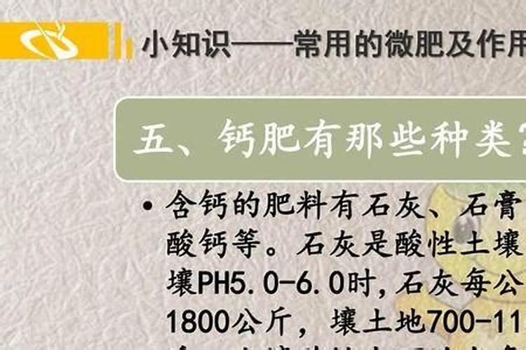 四季绿如蓝百科名片
