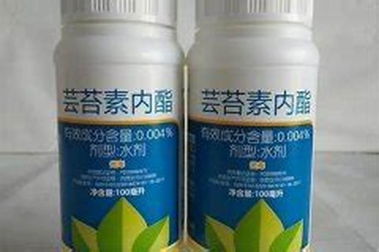 解药害用芸苔素快还是碧护快(芸苔素怎么喷解药害起效果)