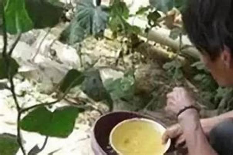 茶叶施磷肥选什么肥 茶叶施磷肥选哪种肥