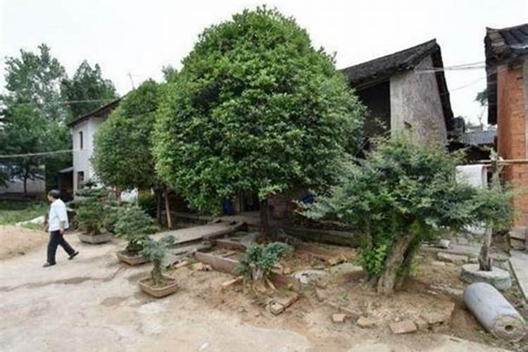 水瓜用氨基酸会导致裂开吗