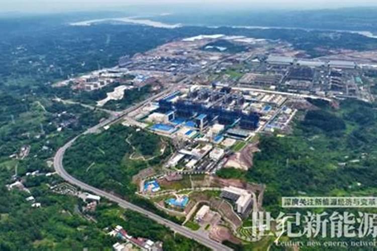 硅肥什么牌子最好