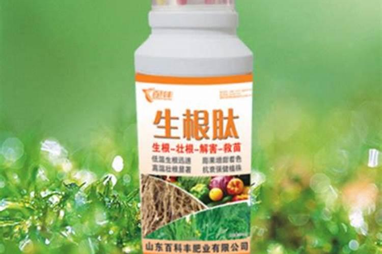 EM菌和葡萄糖能一起用吗