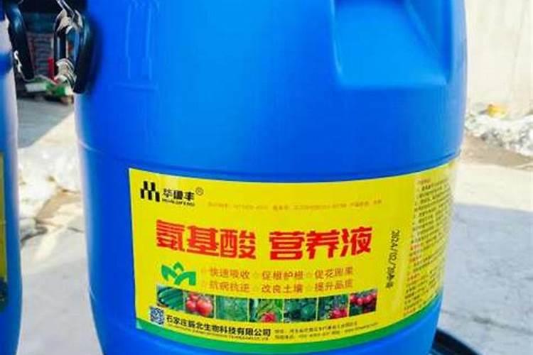 鱼蛋白自制配方比例